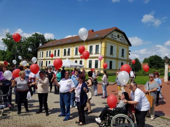 SM vilagnap_2019_beol.hu